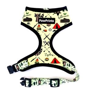 Dog Harness and matching leash